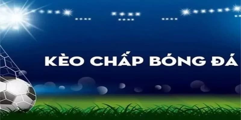 Bongvip